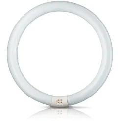 Lysstofrør ^ Philips G10q 40W 840 ring-lysstofrør Master Circular TL-E
