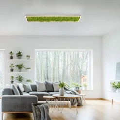 Gang|Loftlamper ^ JUST LIGHT. GmbH Green Knut LED-loftlampe med ægte mos
