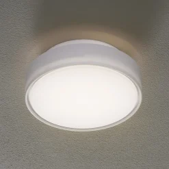 Fabas Luce Loftlamper > Hatton LED-loftlampe, IP65, 25 cm