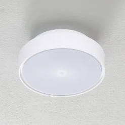 Fabas Luce Loftlamper > Hatton LED-loftlampe, IP65, 25 cm