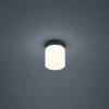Loftlamper ^ Helestra Keto LED-loftlampe, cylinder, sort