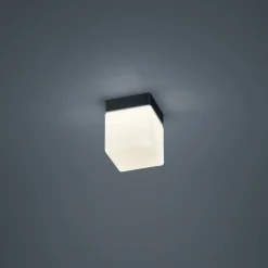 Helestra Loftlamper > Keto LED-loftlampe, terning, sort