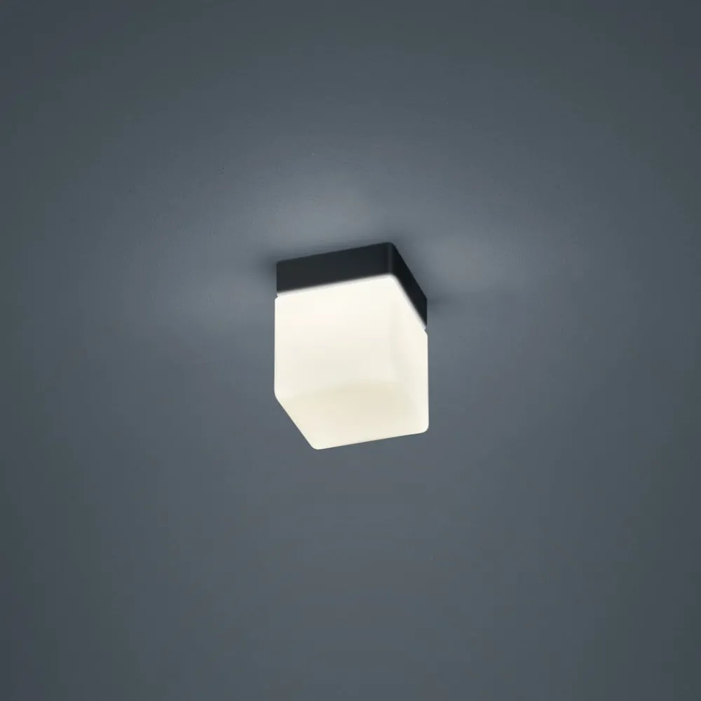 Helestra Loftlamper > Keto LED-loftlampe, terning, sort