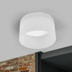 Loftlamper ^ Helestra Liv LED-loftlampe Ø 20 cm