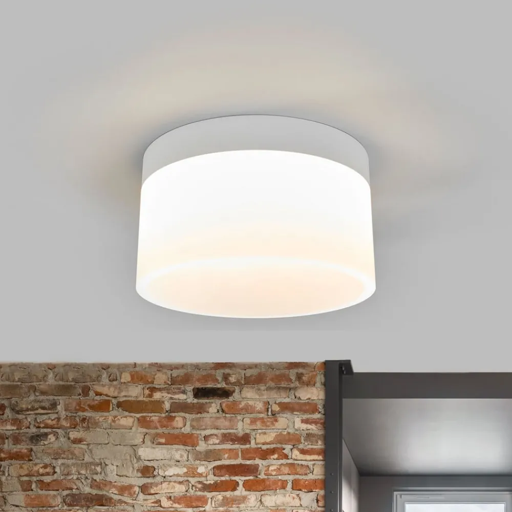 Loftlamper ^ Helestra Liv LED-loftlampe Ø 20 cm
