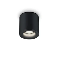 Helestra Udendørs Loftlamper > Lot udendørs loftlampe, IP65, sort