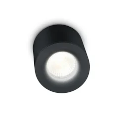 Helestra Udendørs Loftlamper > Lot udendørs loftlampe, IP65, sort