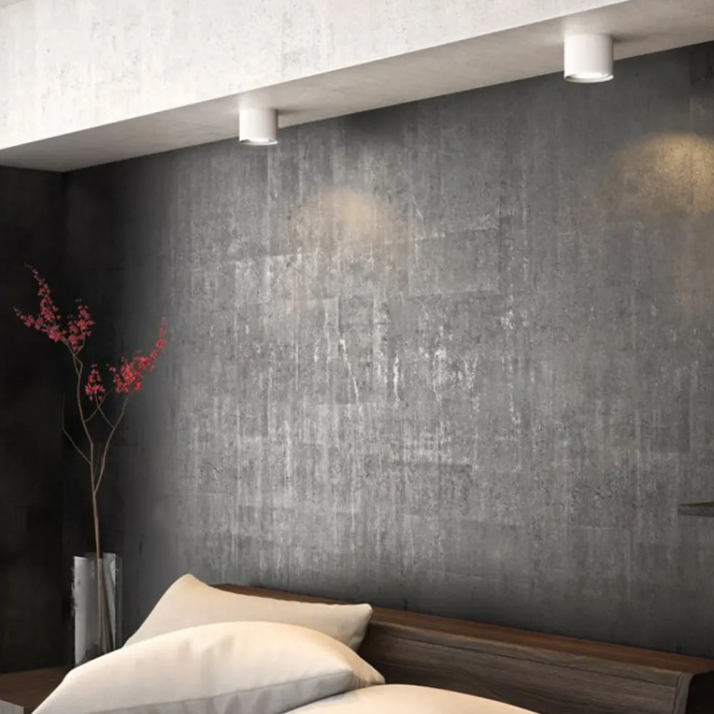 Philips Loftlamper|Spotlights > Hvid LED-spot