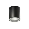 Loftlamper ^ Ideallux Ideal Lux Gun loftlampe til badeværelset, sort