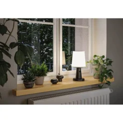 Paulmann Solcellelamper > Ilanga Solcelle Lampe Anthracite -