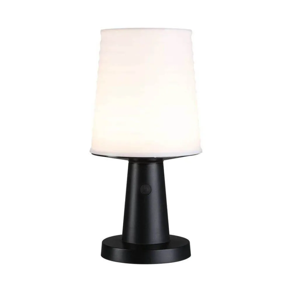 Paulmann Solcellelamper > Ilanga Solcelle Lampe Anthracite -