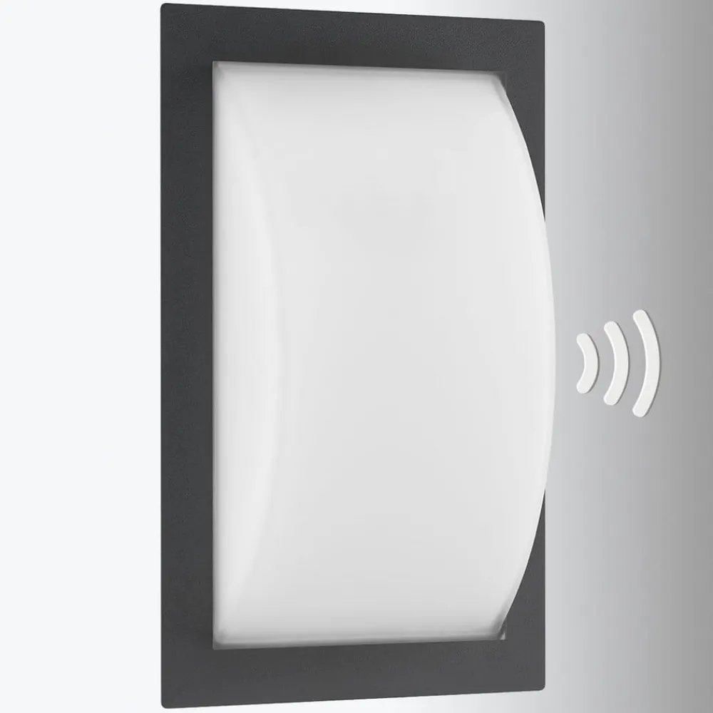 LCD Væglampe Med Sensor > Ivett udendørs LED-væglampe, grafit, bevægelsessensor