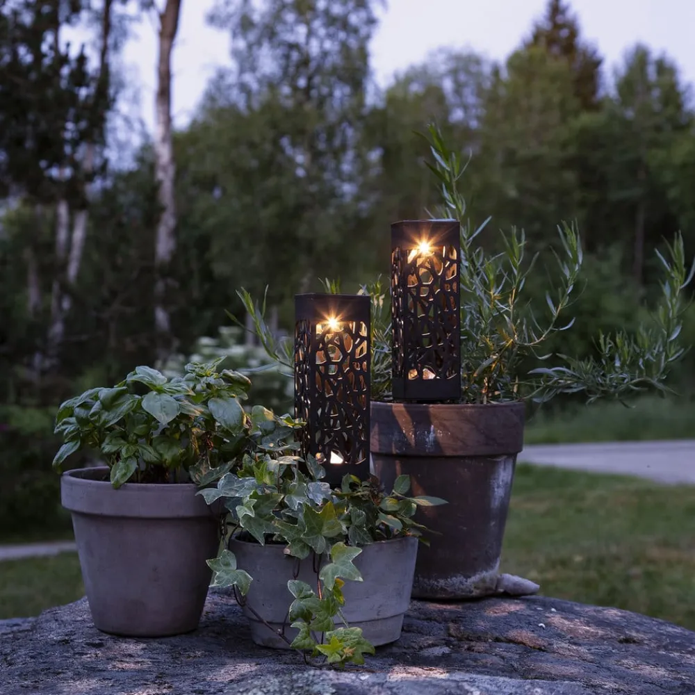STAR TRADING Dekorationsbelysning|Solcellelamper > Izola LED-solcellelampe, jordspyd sæt med 2