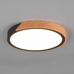 Reality Leuchten Loftlamper > Jano LED-loftlampe, Ø 31,5 cm, 3.000 K, sort