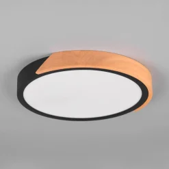 Reality Leuchten Loftlamper > Jano LED-loftlampe, Ø 31,5 cm, 3.000 K, sort