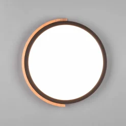 Reality Leuchten Loftlamper > Jano LED-loftlampe, Ø 31,5 cm, 3.000 K, sort