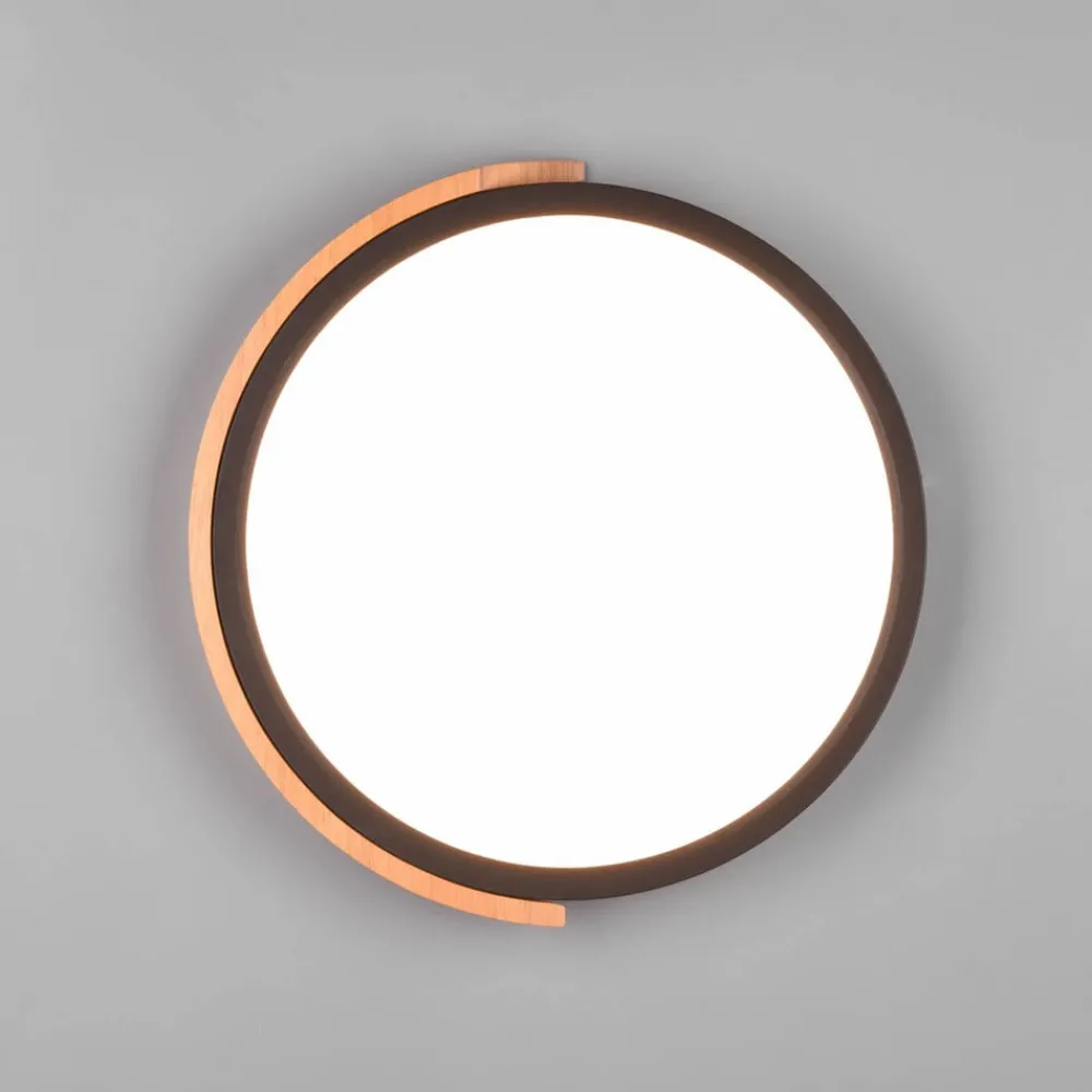 Reality Leuchten Loftlamper > Jano LED-loftlampe, Ø 31,5 cm, 3.000 K, sort
