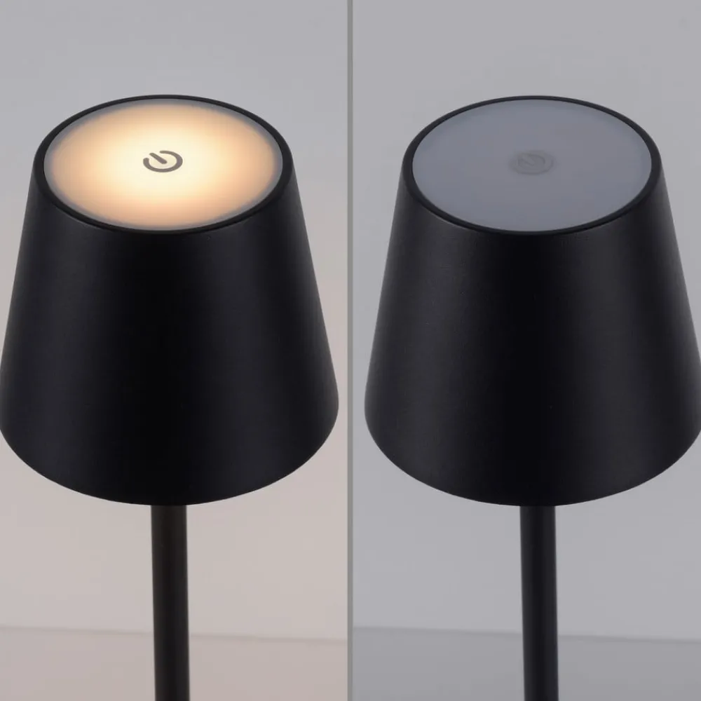 JUST LIGHT. GmbH Terrassebelysning > JUST LIGHT. Euria LED-gulvlampe, sort, jern, IP54