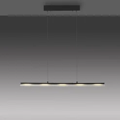 JUST LIGHT. GmbH Arbejdsrum/Kontor|Pendellamper > JUST LIGHT. Hængelampe Nele, sort, jern, glas