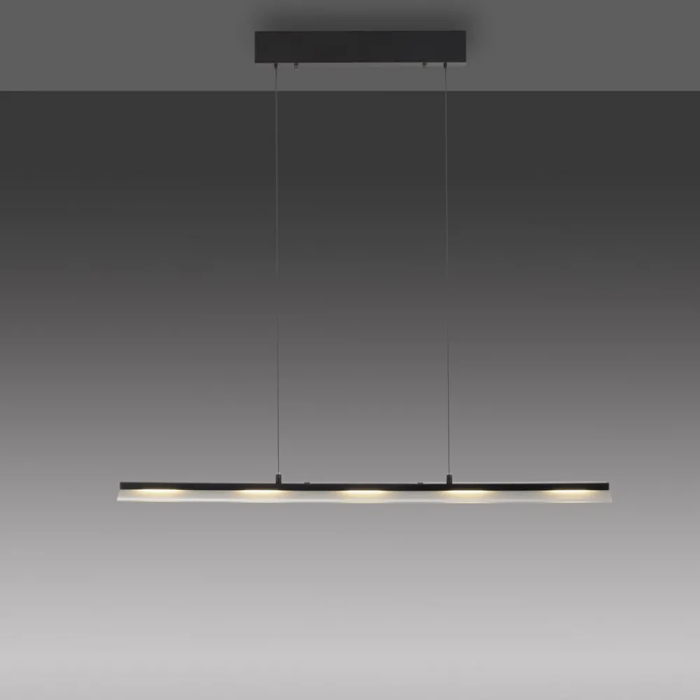 JUST LIGHT. GmbH Arbejdsrum/Kontor|Pendellamper > JUST LIGHT. Hængelampe Nele, sort, jern, glas