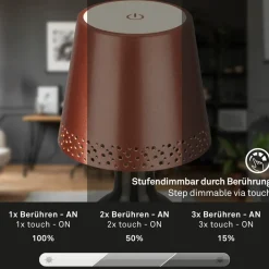 Briloner Dekorationsbelysning|Terrassebelysning > LED-batteri-flaskelys IP44 med lysdæmper, kobber