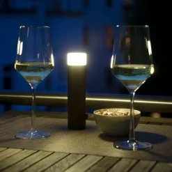 Lommelygter ^ Evotec LED-batterilommelygte til Paul Basic udendørslampe