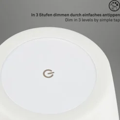 Briloner Dekorationsbelysning|Bordlamper > LED-bordlampe Campi, genopladeligt batteri, dæmpbar, hvid