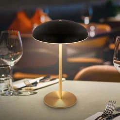 Terrassebelysning|Bordlamper ^ Briloner LED-bordlampe med batteri Brilo unplugged Caxa, sort/messing