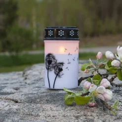 STAR TRADING Dekorationsbelysning > LED gravlys Mælkebøtte, 12 cm hvid/sort plast batteri