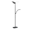 Gulvlamper ^ HELL LED-gulvlampe Andy, 3 lyskilder, antracit, CCT, dæmper