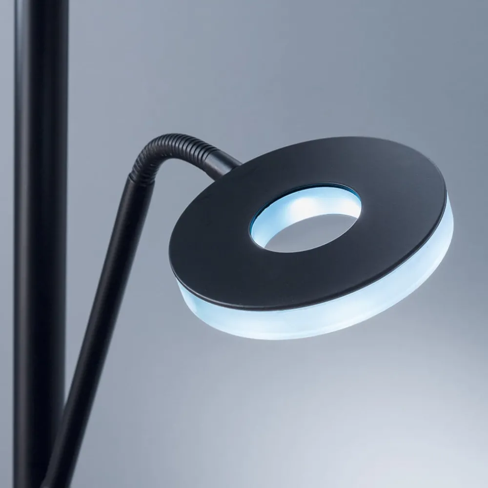 FISCHER & HONSEL Gang|Gulvlamper > LED-gulvlampe Dent, sort, 180 cm, CCT, 2 lyskilder