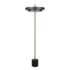 Trio Lighting Gulvlamper > LED-gulvlampe Keaton, sort/guldfarvet, højde 138 cm, CCT