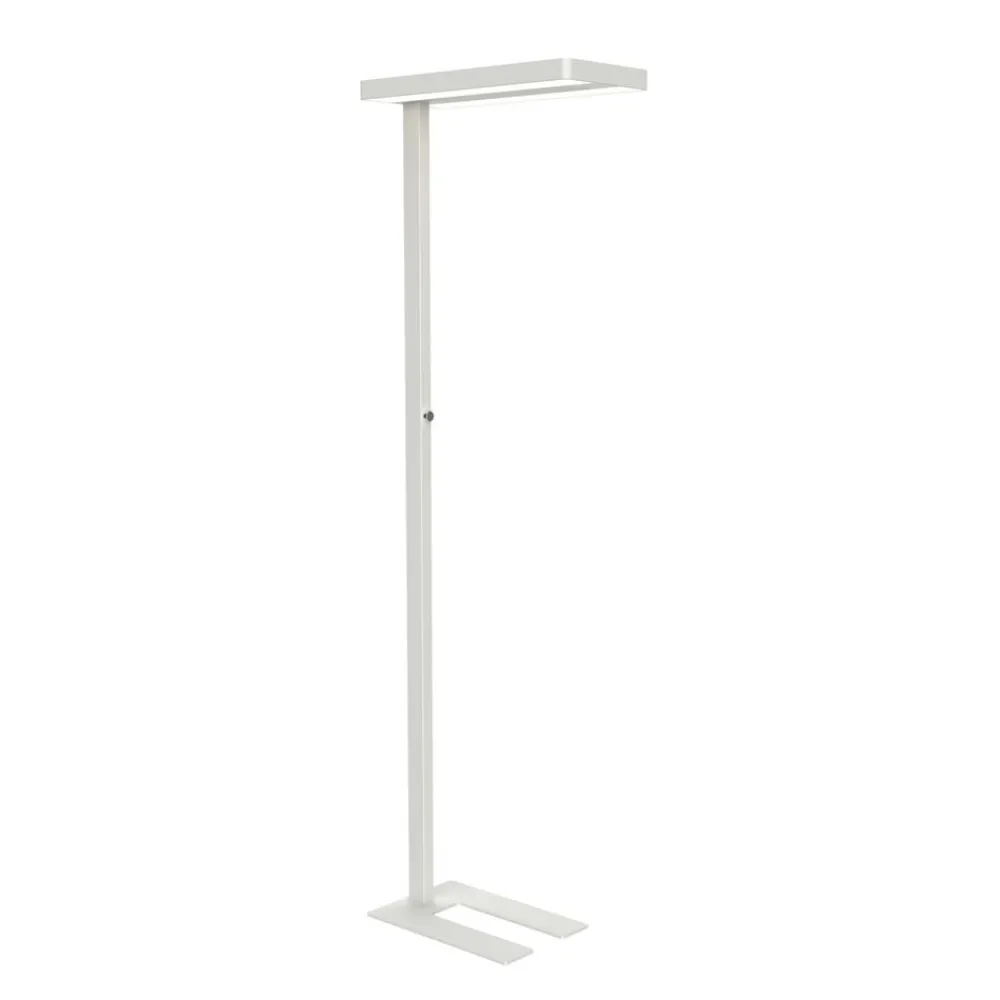 Maul Gulvlamper > LED-gulvlampe javal, hvid, 196 cm, dæmpbar, fod
