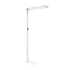 Maul Gulvlamper > LED-gulvlampe til kontor senja, hvid, sensor, højde 196 cm