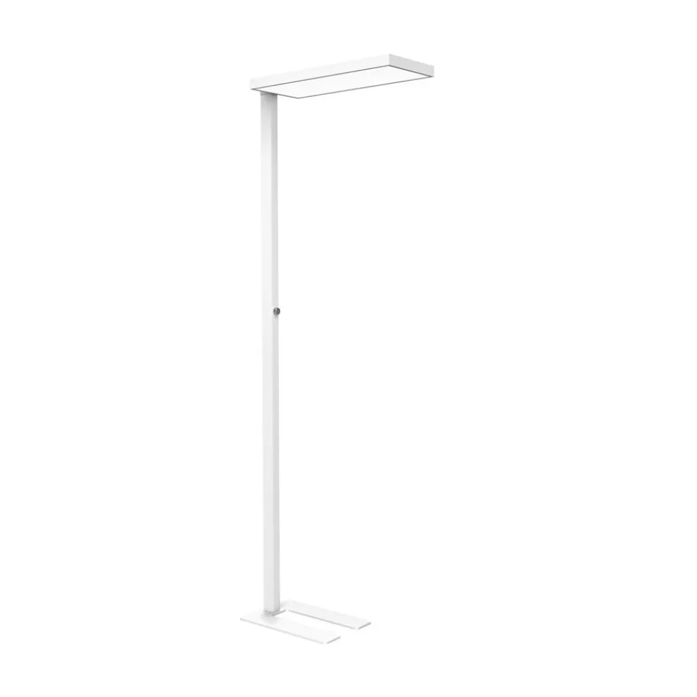 Gulvlamper ^ Maul LED-gulvlampe til kontor jura, hvid, aluminium, 196,5 cm, 4000 K