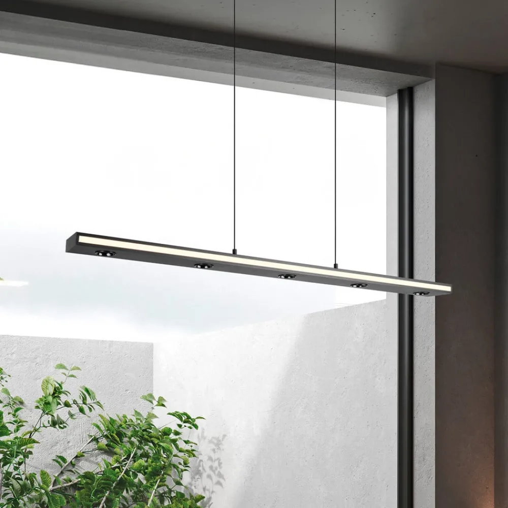 Trio Lighting Arbejdsrum/Kontor|Pendellamper > LED-hængelampe Graham, sort, metal, op/ned, CCT, dæmper