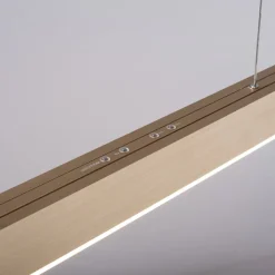 Pendellamper ^ PURE LED-hængelampe Moto, imperial gold, dæmpbar, CCT