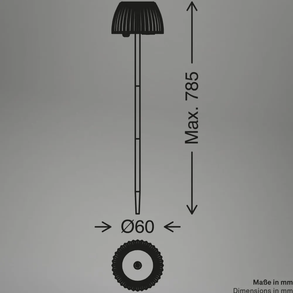 Briloner Udendørs Spot > LED-lampe med jordspyd RIFFLE NANO, antracit Ø 6 cm, 2-pak