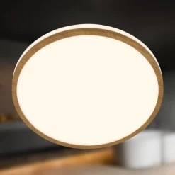 Briloner Loftlamper > LED-loftlampe Acorus, Ø 28 cm, hvid/træfarvet, IP44