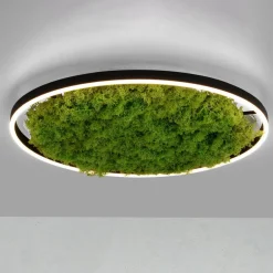 Gang|Loftlamper ^ JUST LIGHT. GmbH LED-loftlampe Green Ritus, mos dæmpbar Ø58,5cm