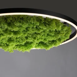 Gang|Loftlamper ^ JUST LIGHT. GmbH LED-loftlampe Green Ritus, mos dæmpbar Ø58,5cm