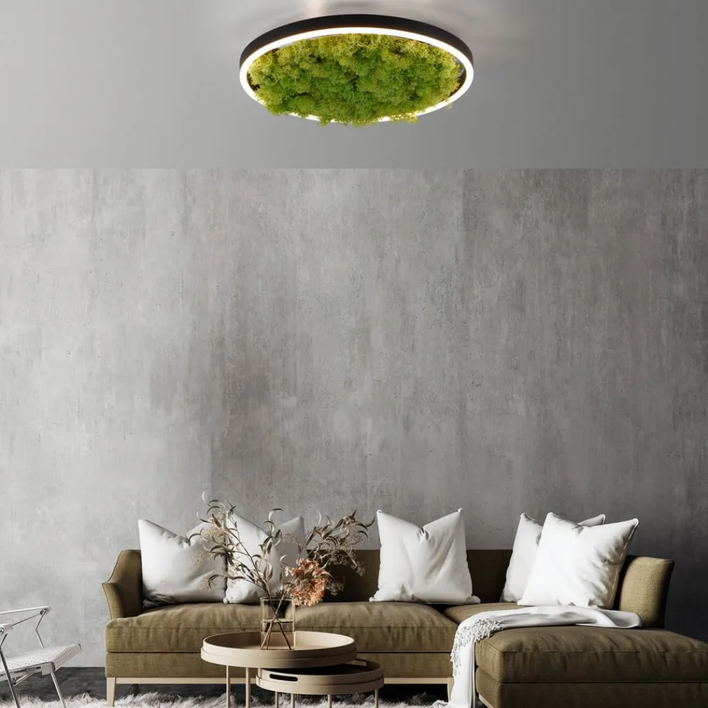 Gang|Loftlamper ^ JUST LIGHT. GmbH LED-loftlampe Grøn Ritus, mos dæmpbar Ø39,3cm