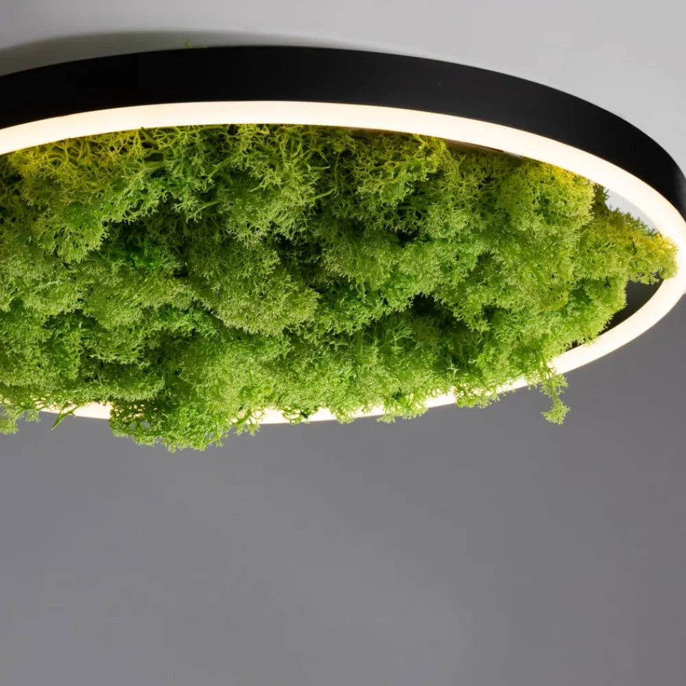 Gang|Loftlamper ^ JUST LIGHT. GmbH LED-loftlampe Grøn Ritus, mos dæmpbar Ø39,3cm