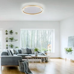 Loftlamper|Loftlamper ^ JUST LIGHT. GmbH LED-loftlampe Ritus, Ø 58,5 cm, mat messing