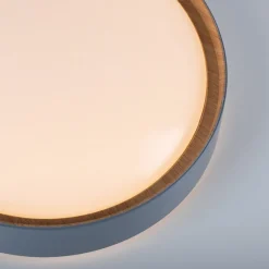JUST LIGHT. GmbH Gang|Loftlamper > LED-loftslampe Emilia, tretrins dæmpbar, grå