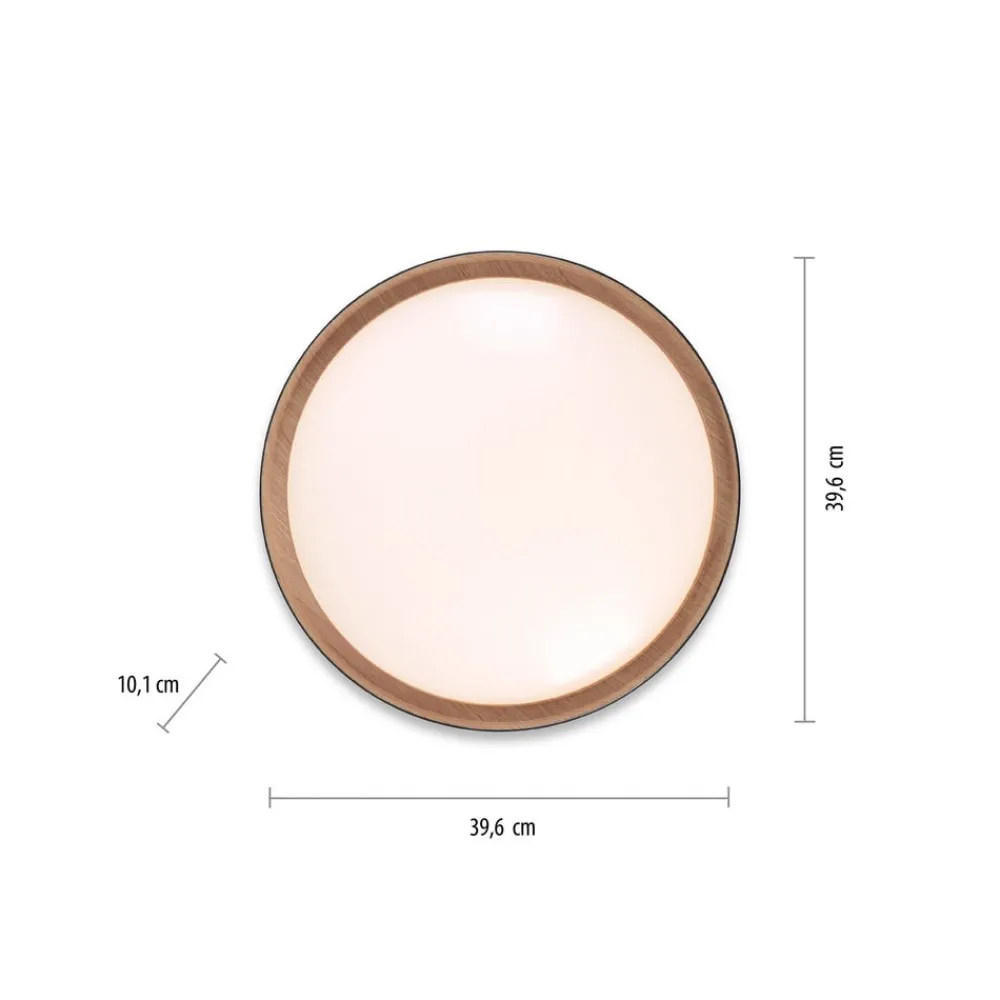 Loftlamper|Loftlamper ^ JUST LIGHT. GmbH LED-loftslampe Emilia 3-trins dæmpbar sort
