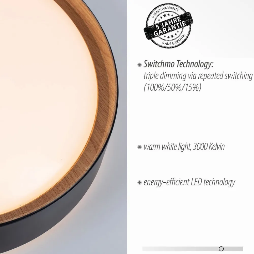 Loftlamper|Loftlamper ^ JUST LIGHT. GmbH LED-loftslampe Emilia 3-trins dæmpbar sort