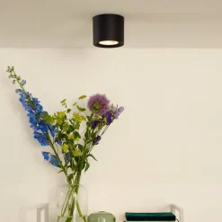 Lucide Loftlamper|Loftlamper > LED-loftslampe Fedler dæmpet til varm, sort