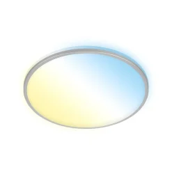 Briloner Loftlamper|Loftlamper > LED-loftslampe Ivy S, dæmpbar, CCT, Ø 49 cm