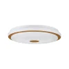 Loftlamper ^ EGLO LED-loftslampe Lanciano 1 med fjernbetjening Ø38cm